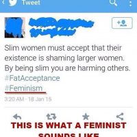 2c6acfd43ece9c6afa9ded3a6f477abb–anti-feminism-humor-opinion