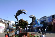 San Francisco Saved From Terror Attack; Liberals Claim Racism