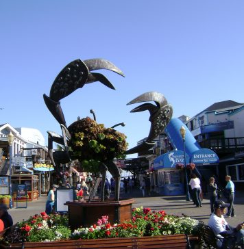 San Francisco Saved From Terror Attack; Liberals Claim Racism