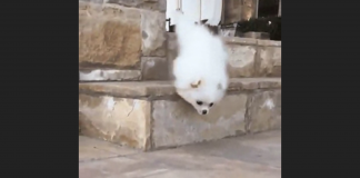 Avoid Slips and Falls