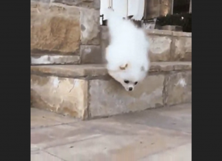 Avoid Slips and Falls