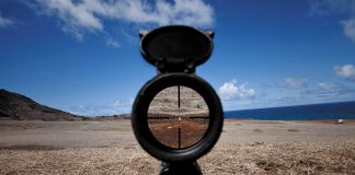 Red Dots Aren’t Just for Cats