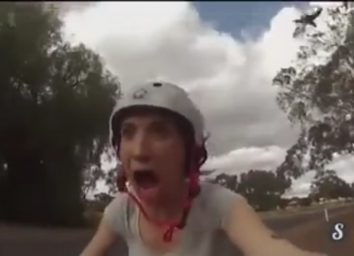 Are Birds Becoming Sentient? They’re Kind of Evil, Though…