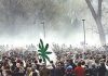 Feds to Legalize Marijuana to Stop Campus Demonstrations