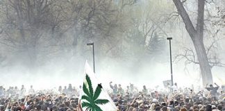 Feds to Legalize Marijuana to Stop Campus Demonstrations