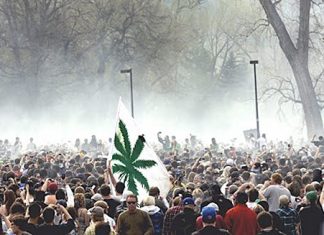 Feds to Legalize Marijuana to Stop Campus Demonstrations