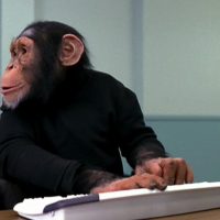 computer-chimp