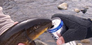 Recreational Fishing Linked to Severe Alcoholism