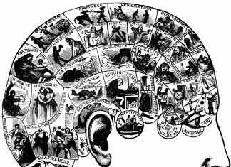 Phrenology Enjoys Resurgence in Popularity