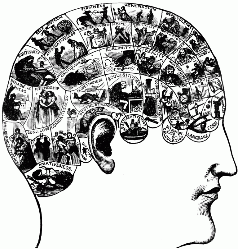 Phrenology Enjoys Resurgence in Popularity