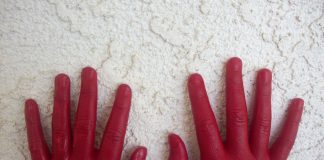 President Trump Caught Red Handed