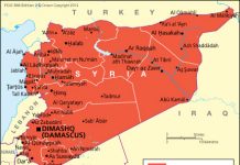 Syria Brings Down Russian Planes With Flocks of Trained Birds