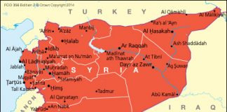 Syria Brings Down Russian Planes With Flocks of Trained Birds