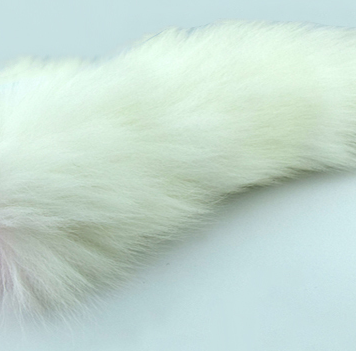 Polyembolokoilamania and You: We Got Nothin’