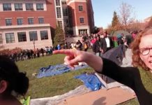 Humanity Has Jumped the Shark; to be Cancelled in the Next Couple Seasons