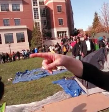 Humanity Has Jumped the Shark; to be Cancelled in the Next Couple Seasons