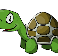 vapid-turtle