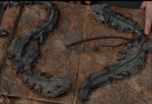 Google Announces New Occult Search Service