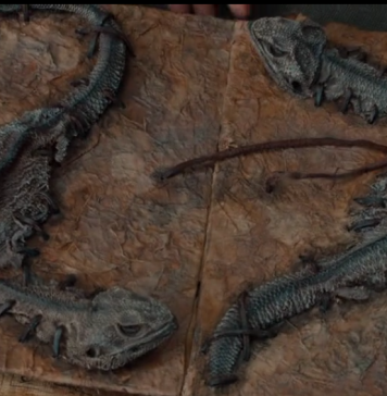 Google Announces New Occult Search Service