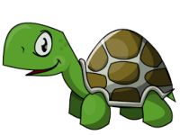 vapid-turtle